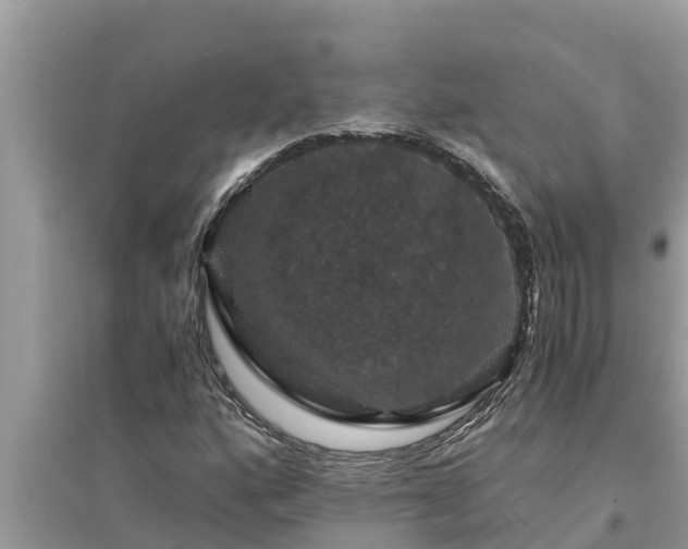 X0000095541160200712211341