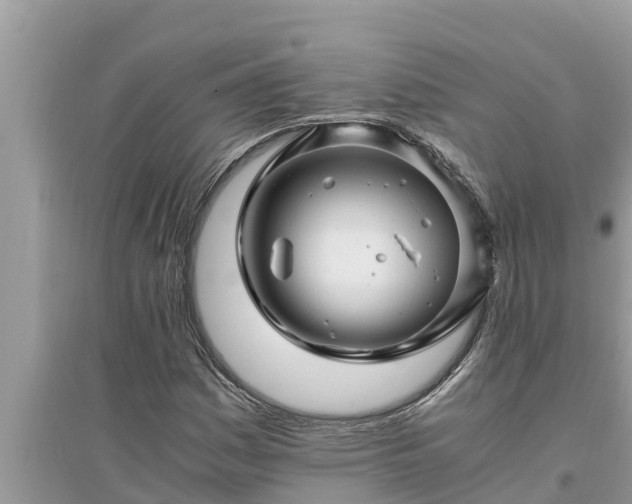 X0000095541161200712211341