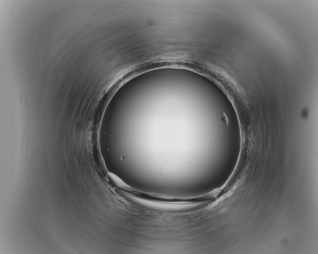 X0000095541162200712211341