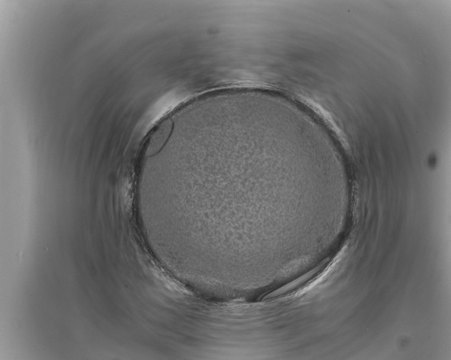 X0000095541163200712211341