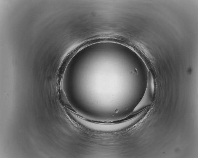 X0000095541164200712211341