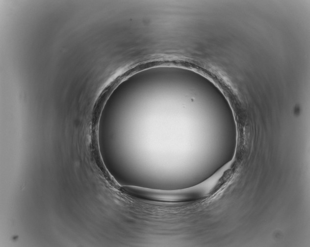 X0000095541165200712211341