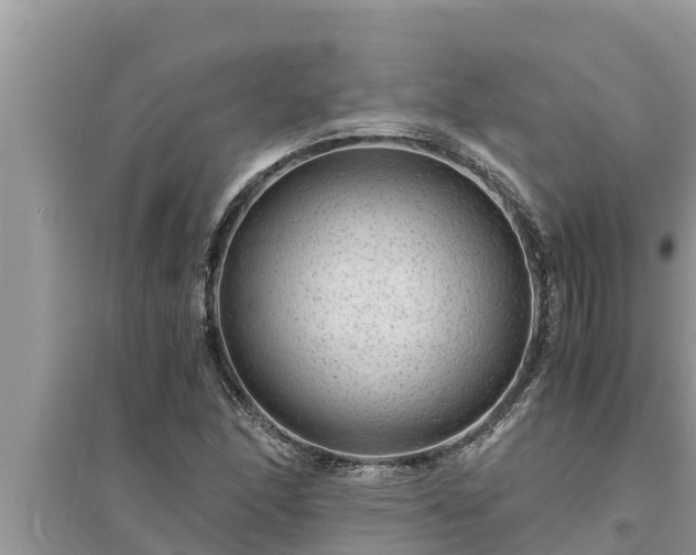 X0000095541166200712211341