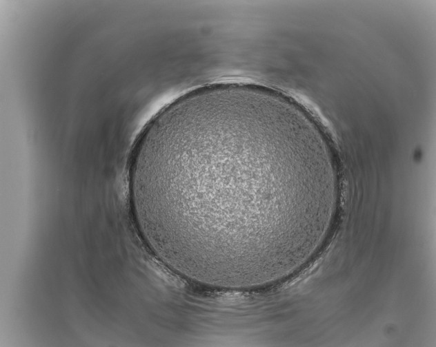 X0000095541167200712211341