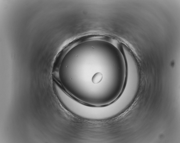 X0000095541168200712211341