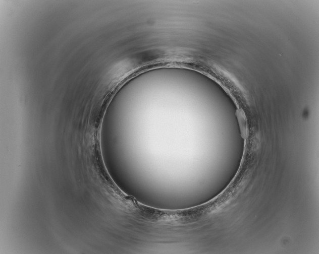 X0000095541169200712211341