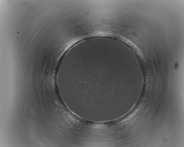 X0000095541170200712211341