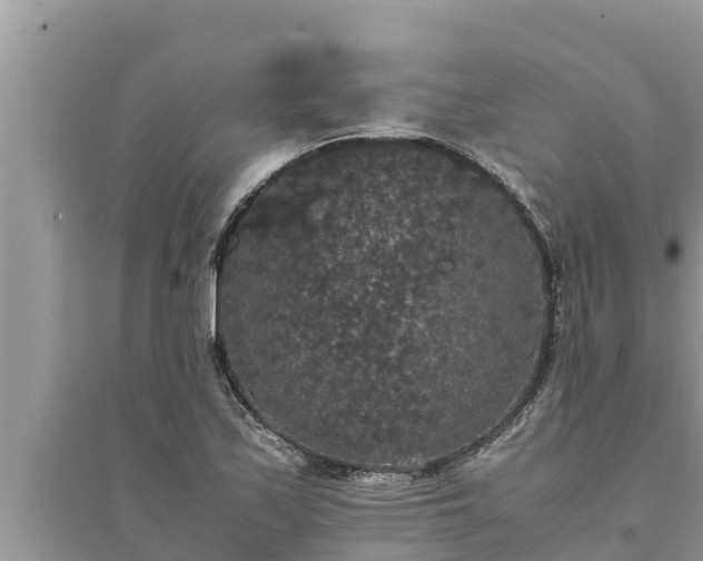 X0000095541171200712211341