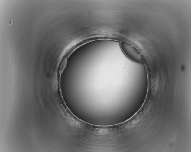 X0000095541172200712211341