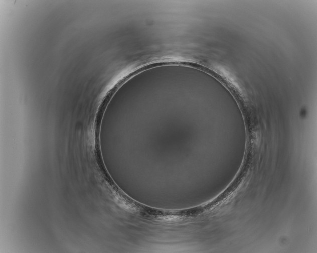 X0000095541173200712211341