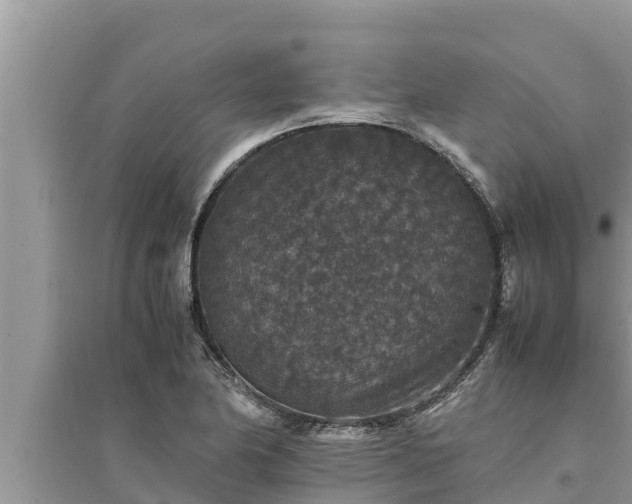 X0000095541174200712211341