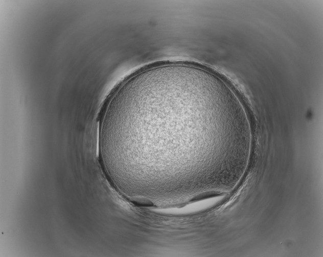 X0000095541175200712211341