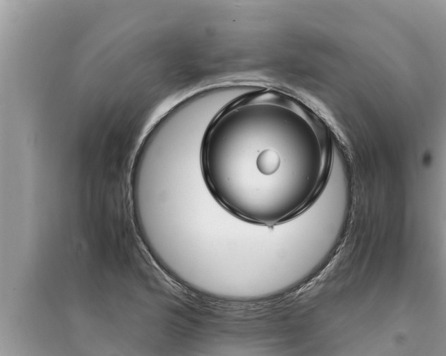 X0000095541176200712211341