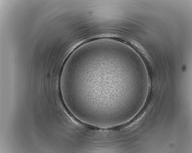 X0000095541177200712211341