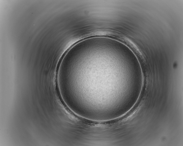 X0000095541178200712211341