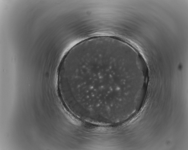 X0000095541179200712211341