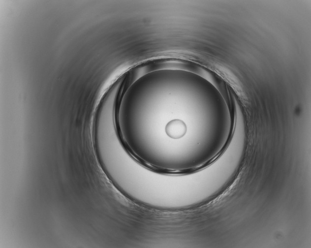 X0000095541180200712211341