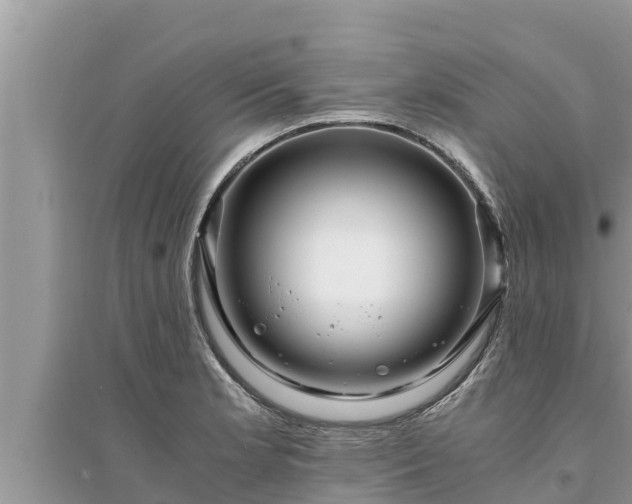 X0000095541181200712211341