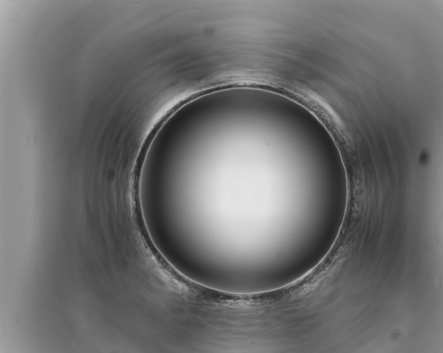 X0000095541182200712211341