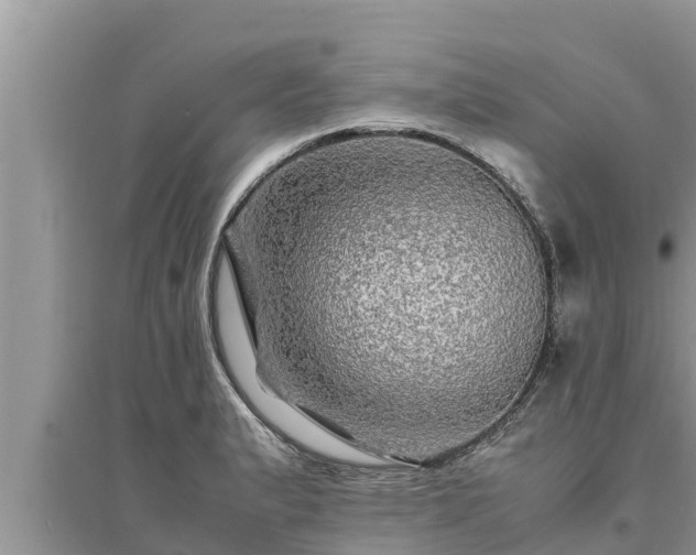 X0000095541183200712211341