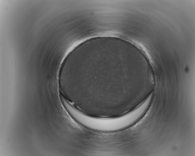 X0000095541184200712211341