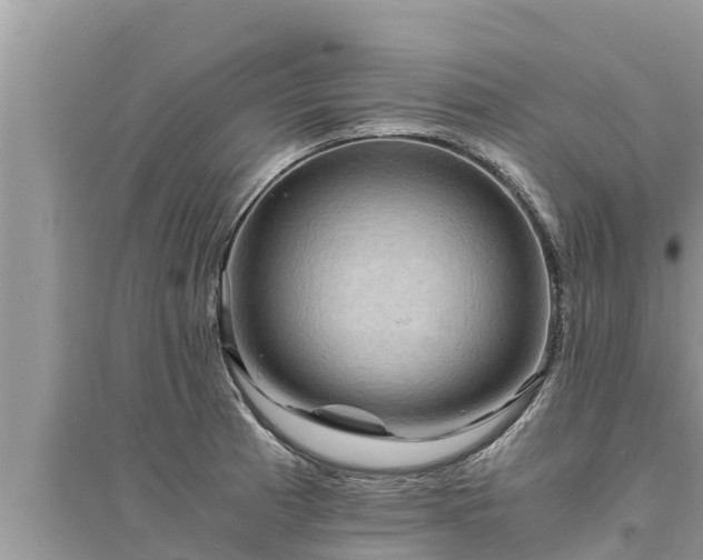 X0000095541185200712211341