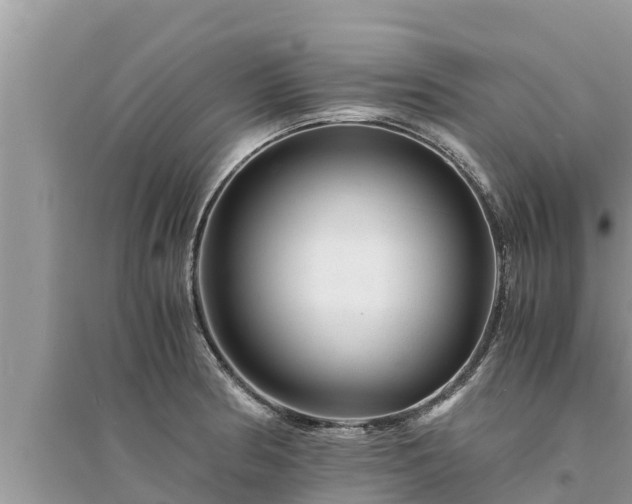 X0000095541186200712211341