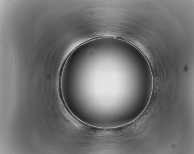 X0000095541187200712211341