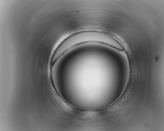 X0000095541188200712211341