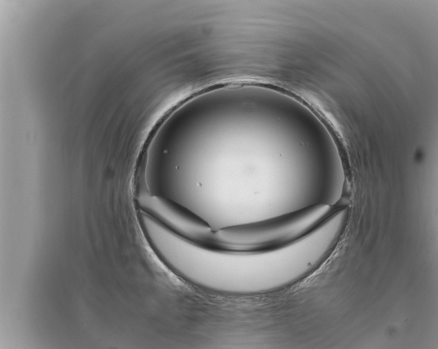 X0000095541189200712211341