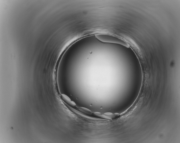 X0000095541190200712211341