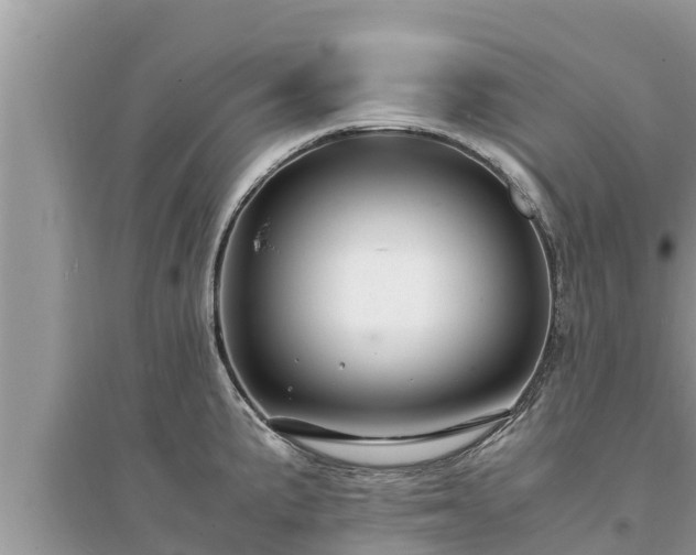 X0000095541191200712211341