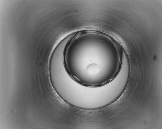 X0000095541192200712211341