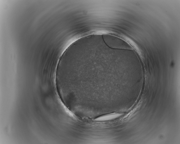 X0000095541194200712211341