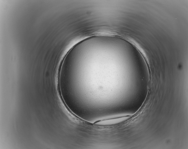 X0000095541195200712211341