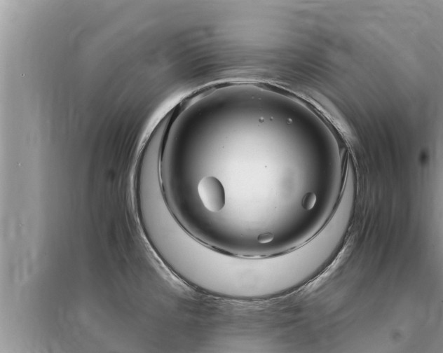 X0000095541196200712211341