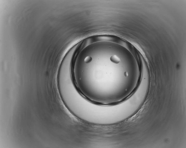 X0000095541197200712211340