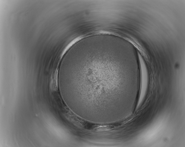 X0000095541198200712211340