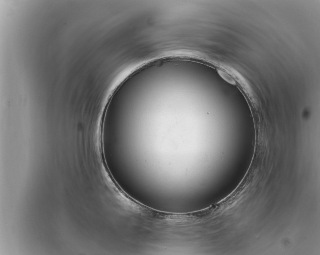 X0000095541199200712211340