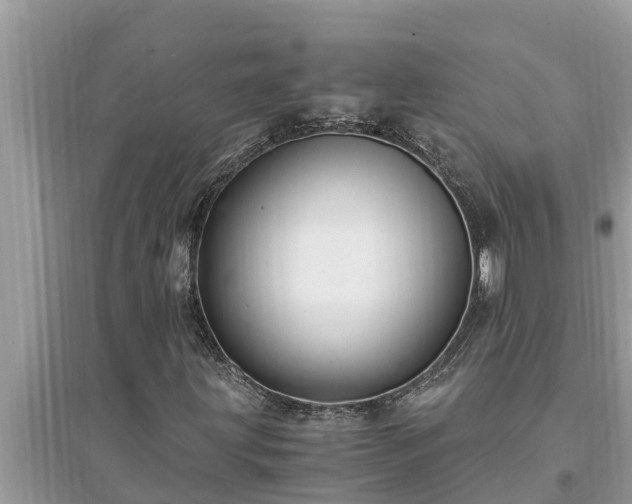 X0000095541203200712211340