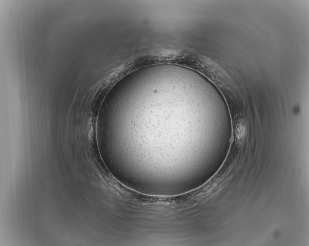 X0000095541204200712211340