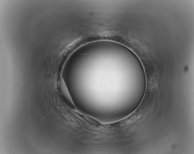 X0000095541205200712211340