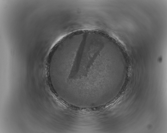 X0000095541208200712211340