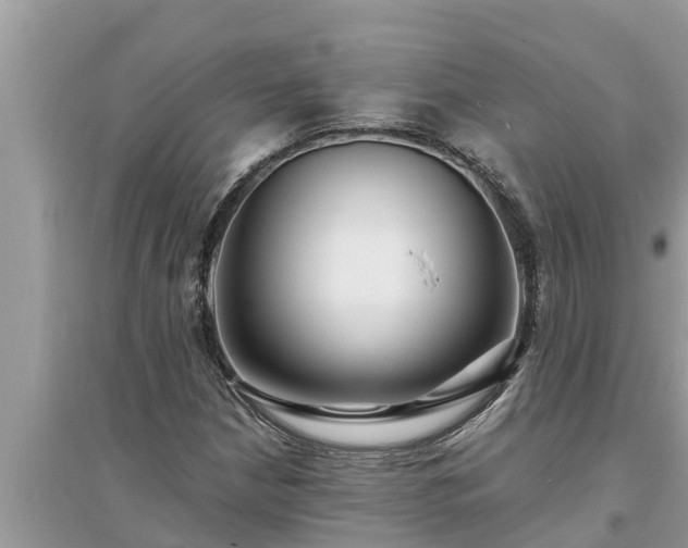 X0000095541210200712211340