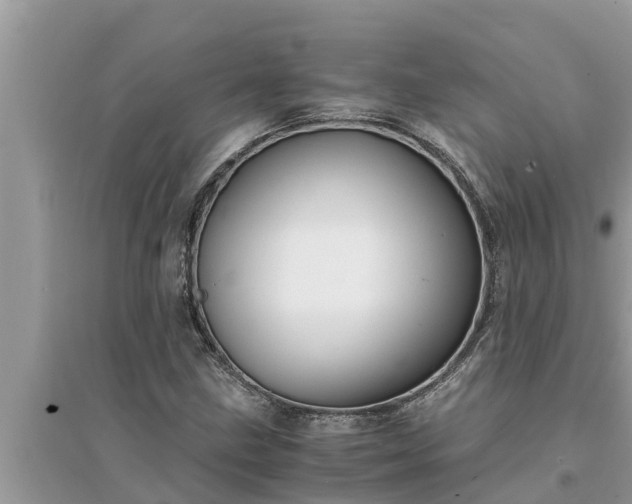 X0000095541211200712211340