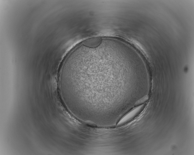 X0000095541212200712211340