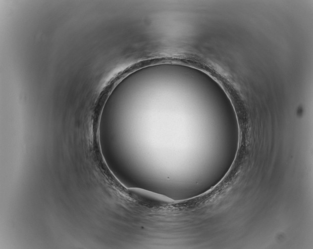 X0000095541214200712211340