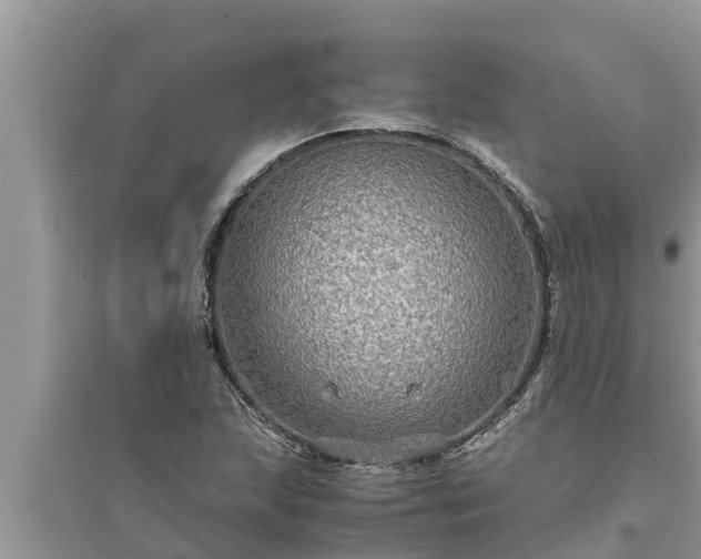 X0000095541215200712211340