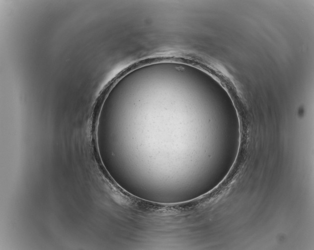 X0000095541216200712211340