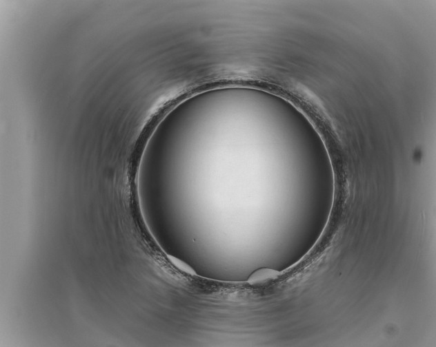 X0000095541218200712211340